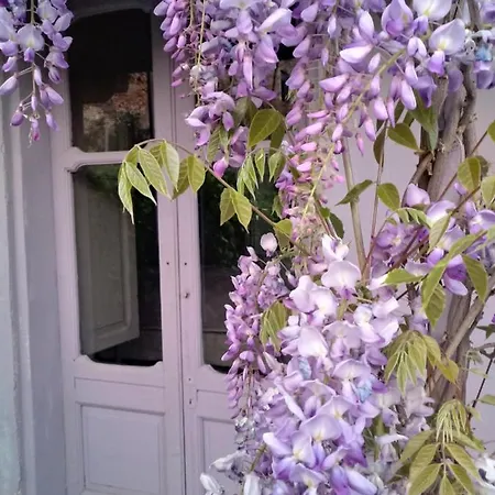 La Culla Di Bacco Castagnole Monferrato