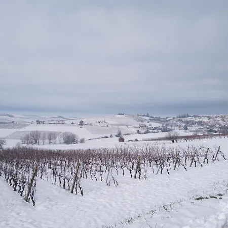 Panzió La Culla Di Bacco