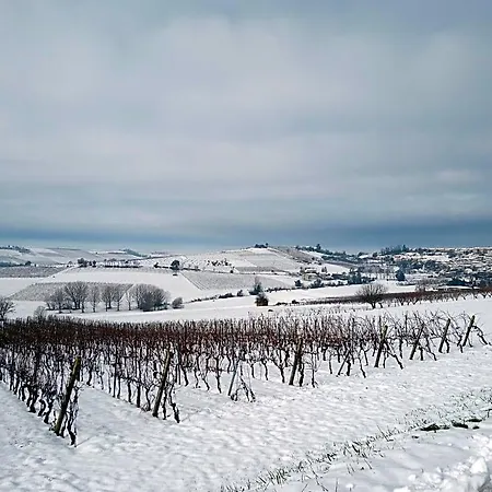 La Culla Di Bacco 4* Castagnole Monferrato