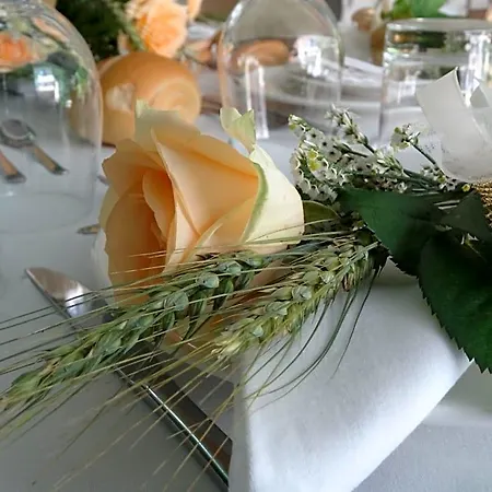 Bed & Breakfast La Culla Di Bacco