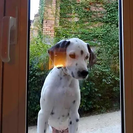 La Culla Di Bacco