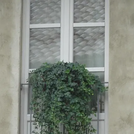 La Culla Di Bacco Castagnole Monferrato