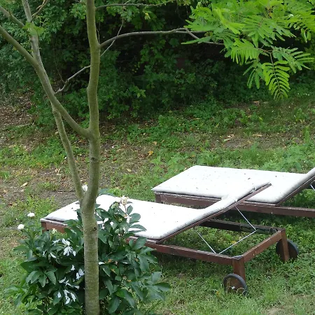 La Culla Di Bacco