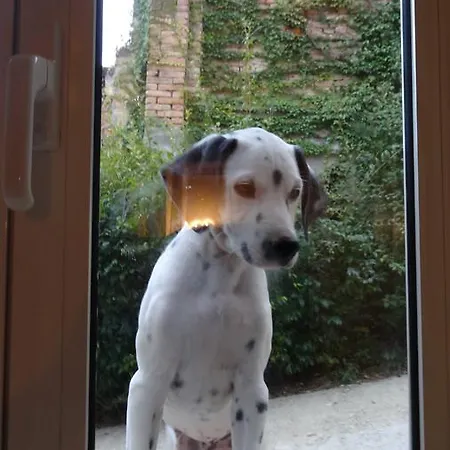 La Culla Di Bacco Panzió Castagnole Monferrato