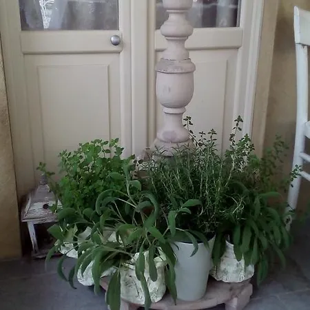 Bed and Breakfast La Culla Di Bacco Castagnole Monferrato