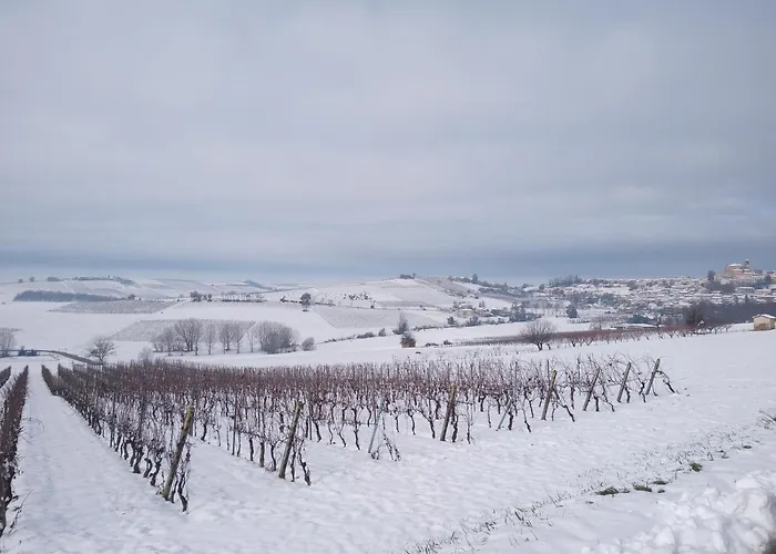 Frühstückspension La Culla Di Bacco