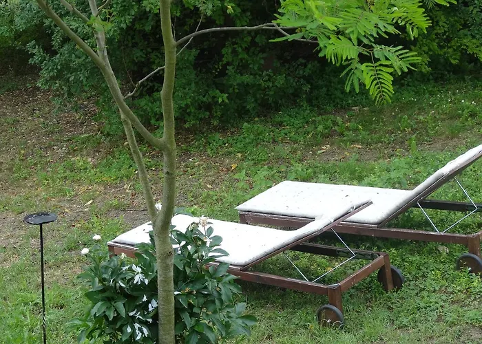 La Culla Di Bacco