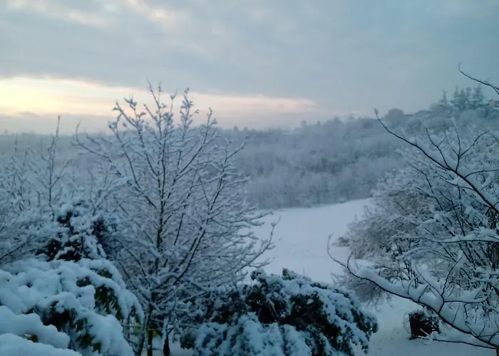 La Culla Di Bacco Castagnole Monferrato